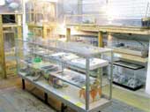 ディノドン店内